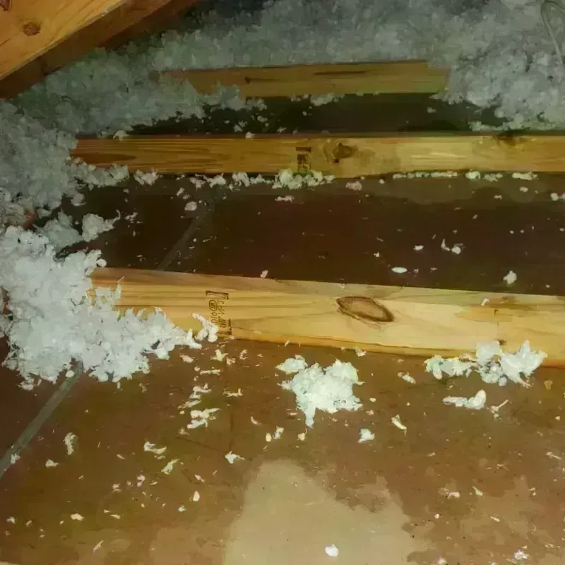 Attic Water Damage in New Middletown, OH