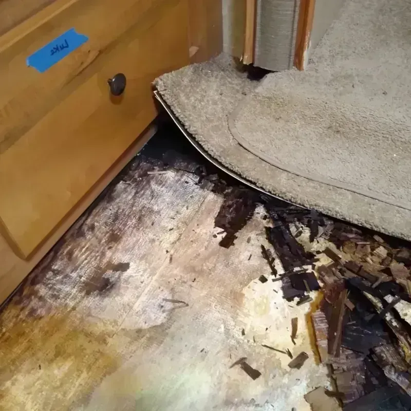 Wood Floor Water Damage in New Middletown, OH